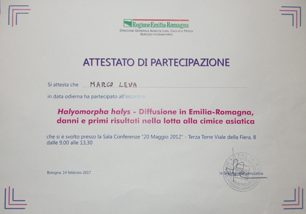 Attestato di partecipazione al convegno sull'Halyimorpha